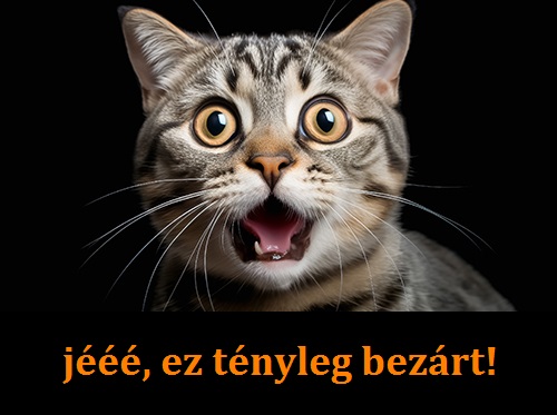 ez az oldal átmenetileg zárva tart